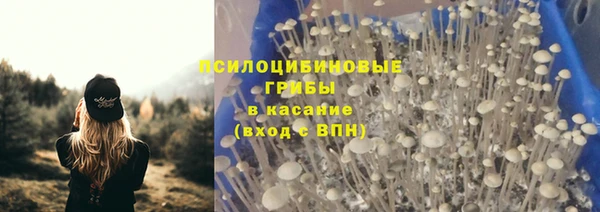 кокс Касимов