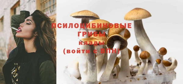 кокс Касимов
