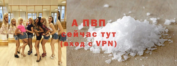 кокс Касимов