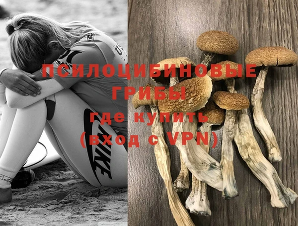 кокс Касимов