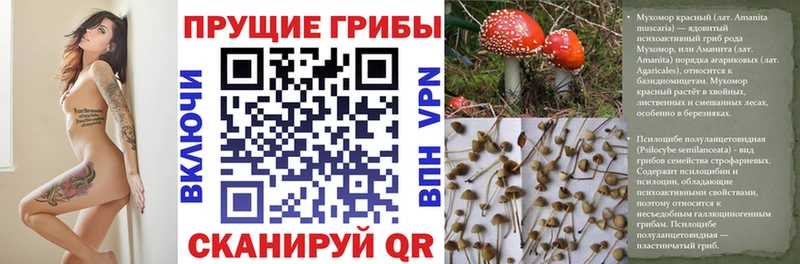 Галлюциногенные грибы Magic Shrooms Щёлково